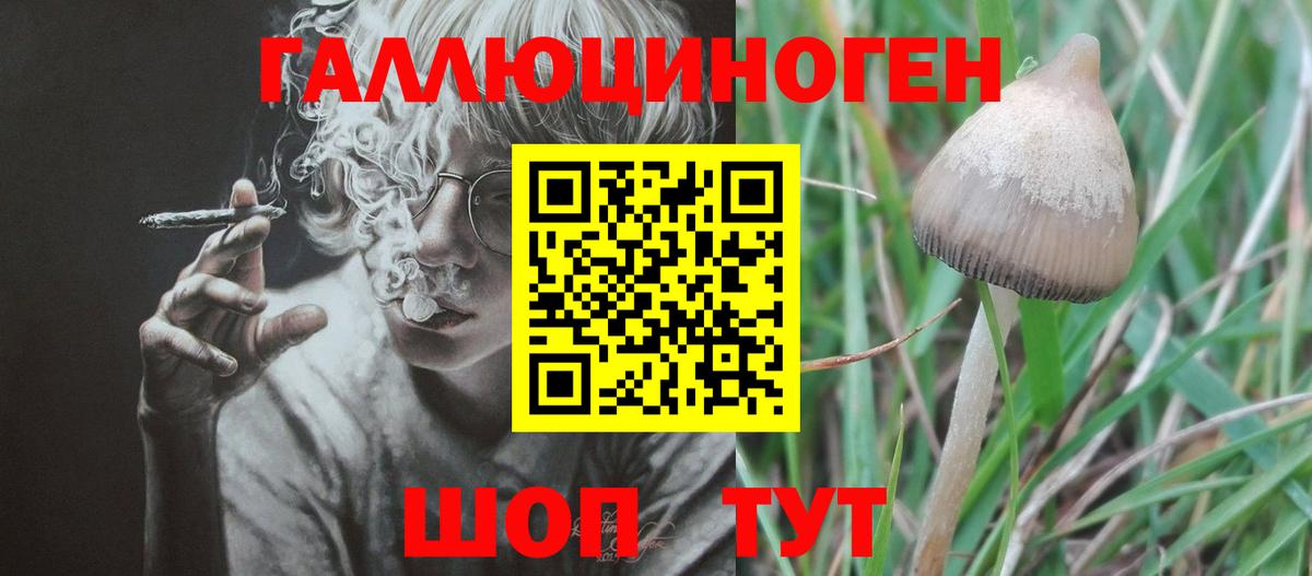 Галлюциногенные грибы мицелий Полысаево